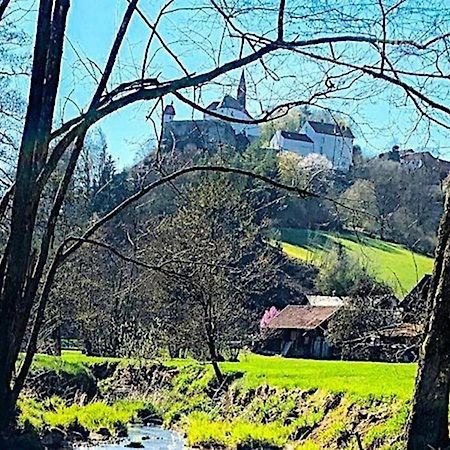 Comfortable Apartment In Zenting In Lower Bavaria エクステリア 写真