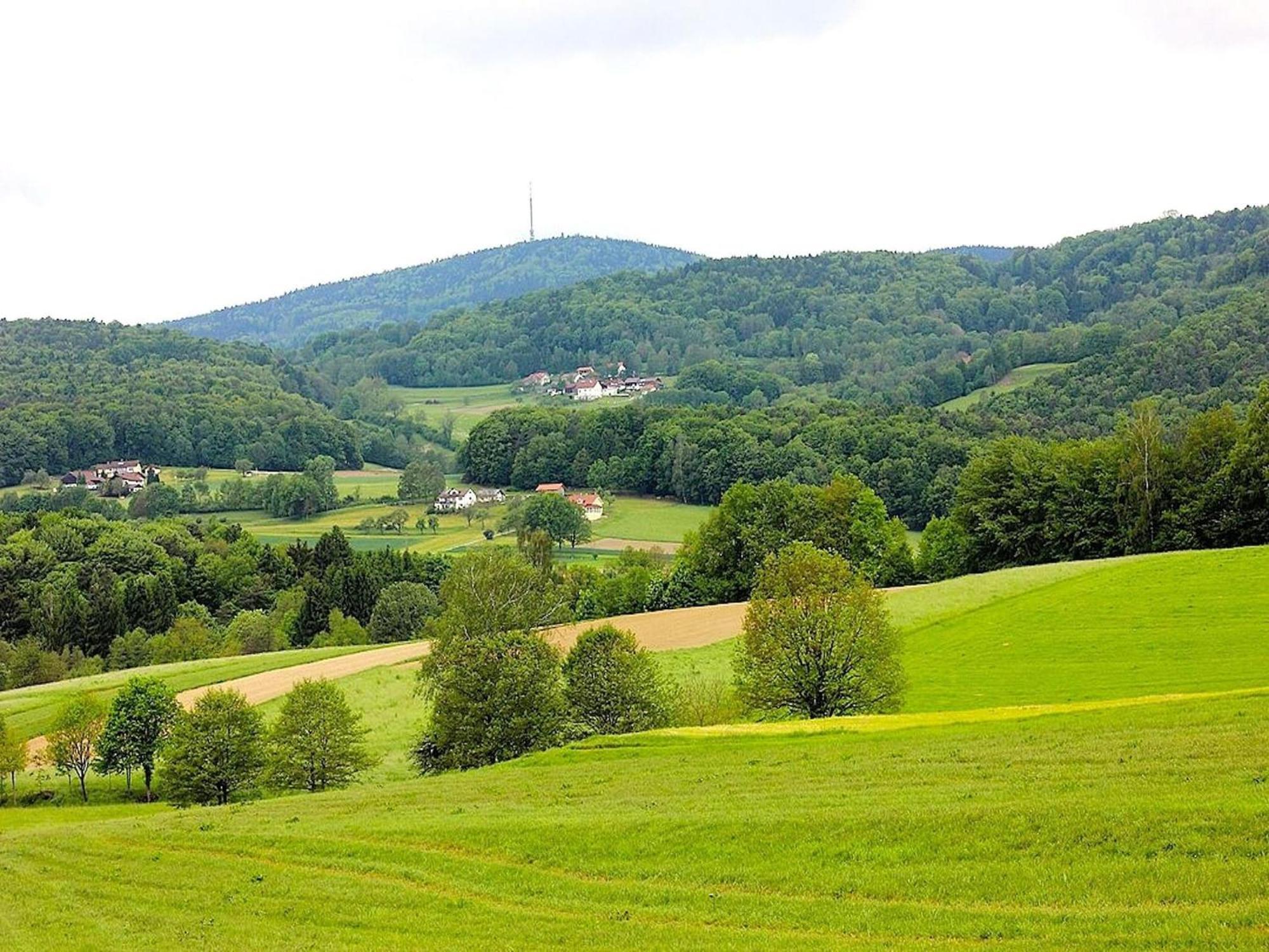 Comfortable Apartment In Zenting In Lower Bavaria エクステリア 写真