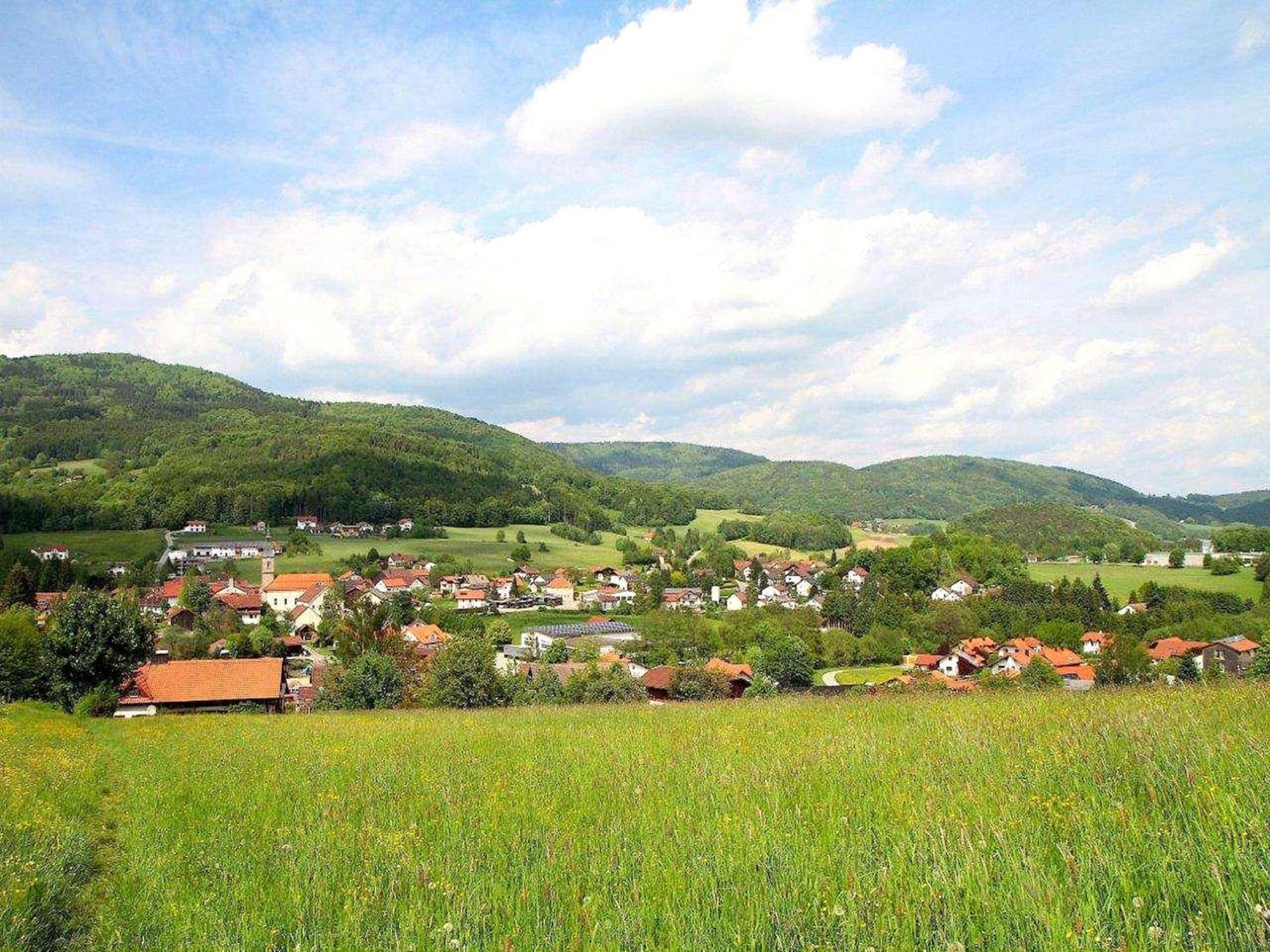 Comfortable Apartment In Zenting In Lower Bavaria エクステリア 写真