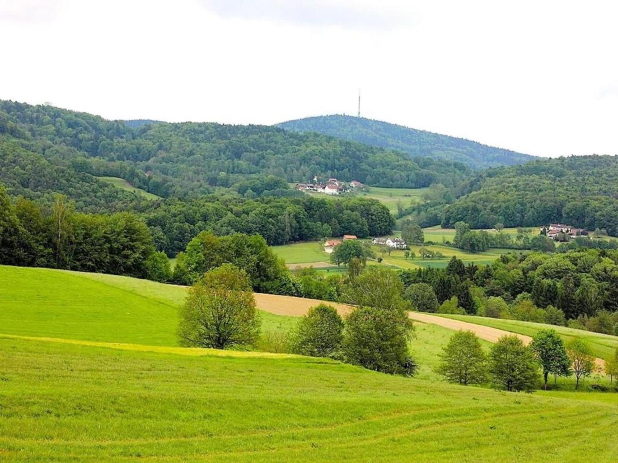 Comfortable Apartment In Zenting In Lower Bavaria エクステリア 写真