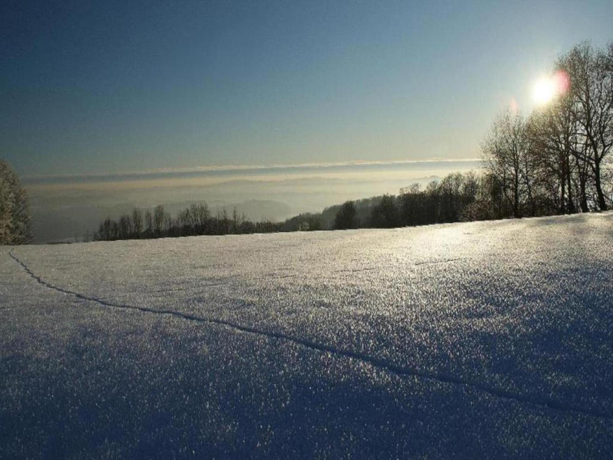 Comfortable Apartment In Zenting In Lower Bavaria エクステリア 写真