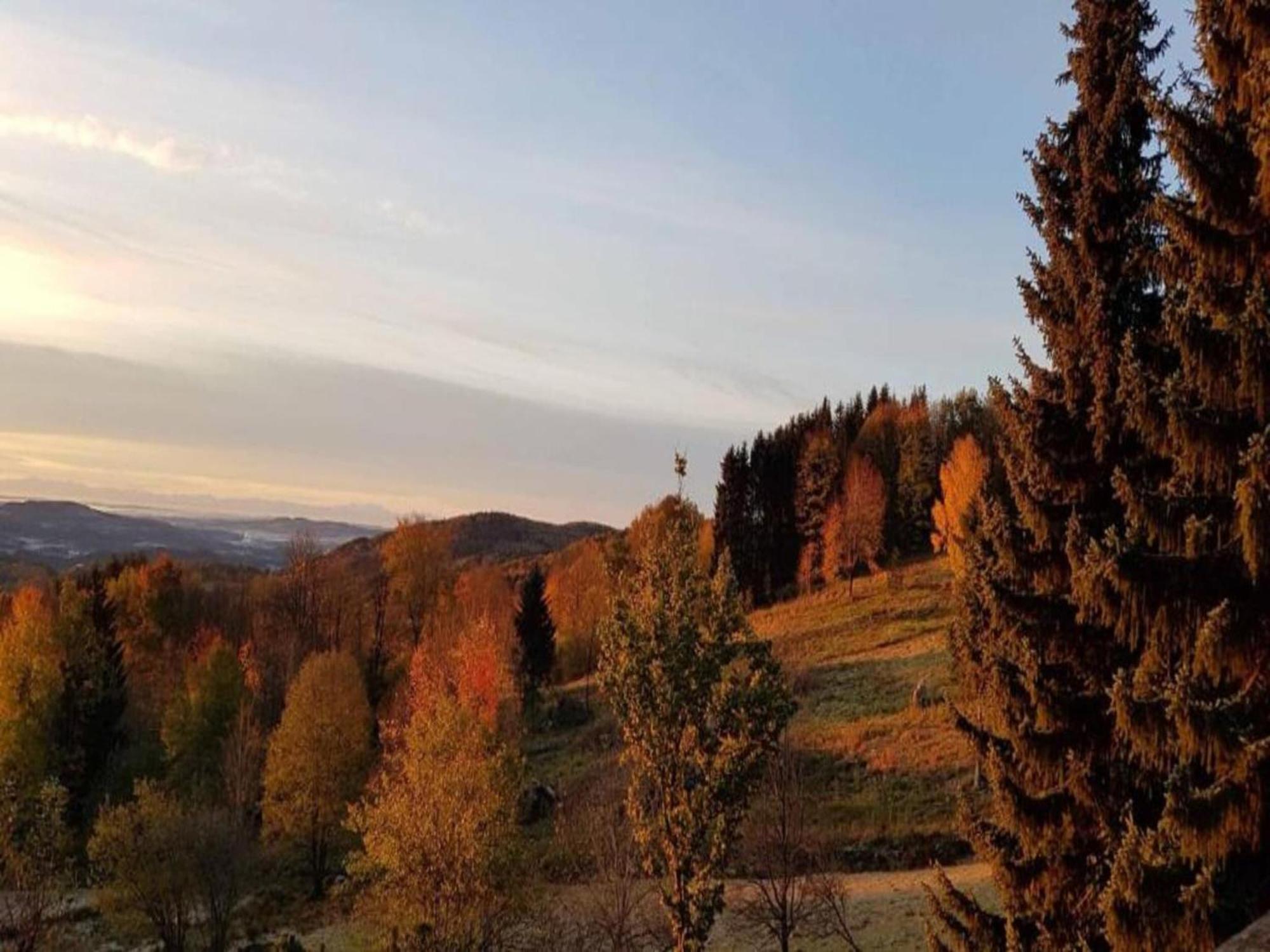 Comfortable Apartment In Zenting In Lower Bavaria エクステリア 写真